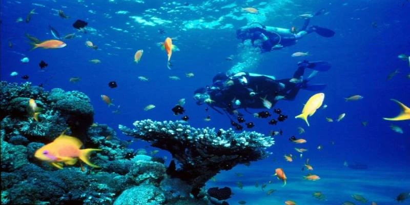 رحلة الغوص فتحية Diving Fethiye 
